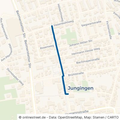 Fröbelstraße 89081 Ulm Jungingen Jungingen