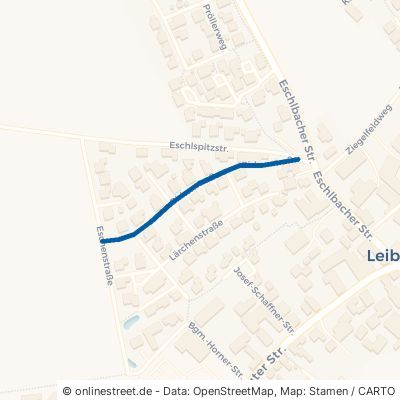 Birkenstraße Leiblfing 