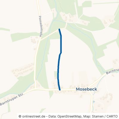 Dorfplatzweg Detmold Mosebeck 