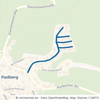 Trappweg Marsberg Padberg 