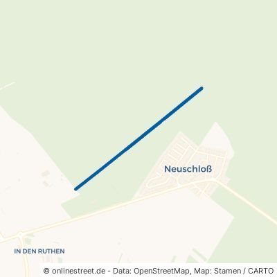 Rodfeld-Schneise Lampertheim Neuschloß 