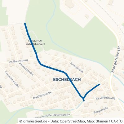 Lilienstraße Montabaur Eschelbach 