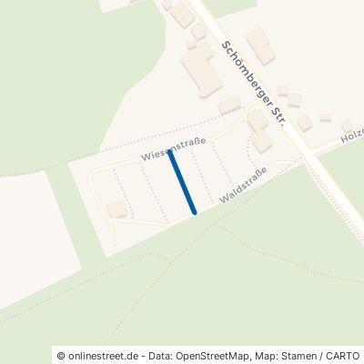 Erlenweg Schömberg 