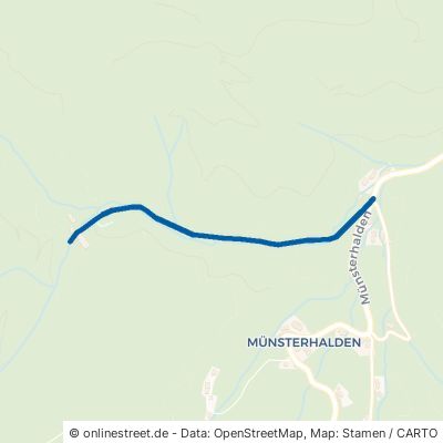 Rammersbach Münstertal Untermünstertal 