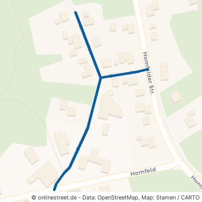 Birkenallee Bruchhausen-Vilsen Homfeld 