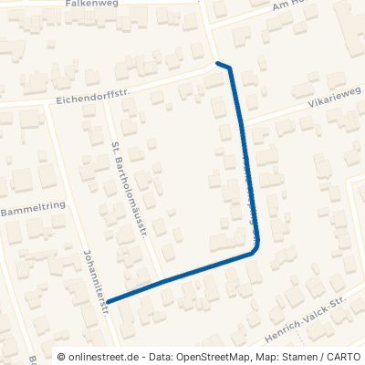Franz-Rieping-Straße 48366 Laer 