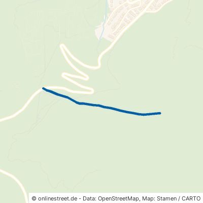 Kurvenschlagweg Eberbach 