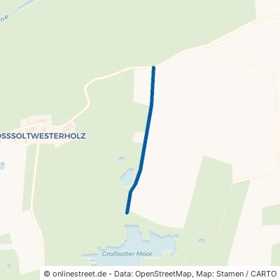 Birkenweg Großsolt 