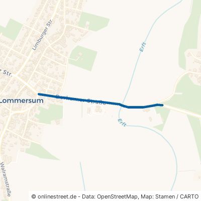 Derkumer Straße 53919 Weilerswist Lommersum 