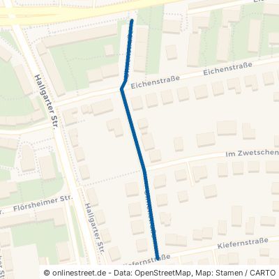 Ulmenstraße 55246 Wiesbaden 