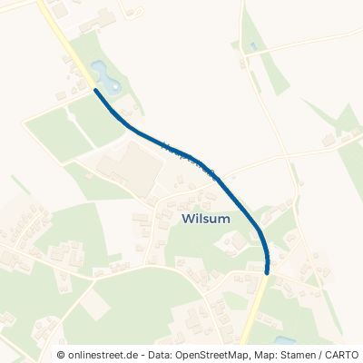 Hauptstraße 49849 Wilsum 