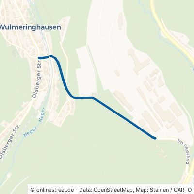 Assinghauser Straße Olsberg Wulmeringhausen 