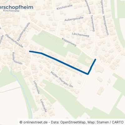 Kirchenriedstraße Friesenheim Oberschopfheim 