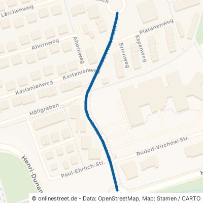Robert-Koch-Straße Idstein 