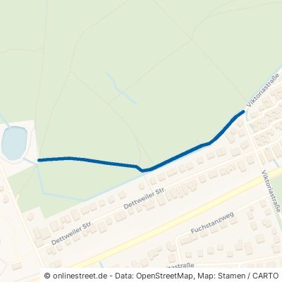 Förster-Hans-Streun-Weg Kronberg im Taunus 