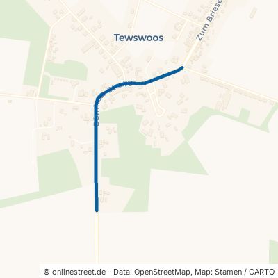 Dömitzer Straße Vielank Tewswoos 