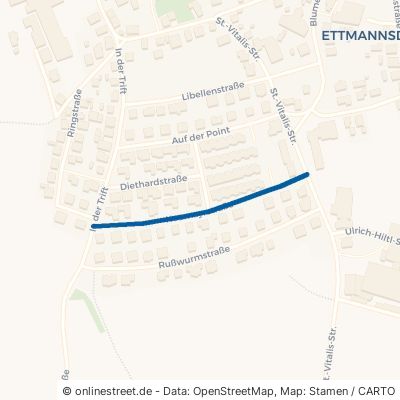 Neumayrstraße Schwandorf Ettmannsdorf 