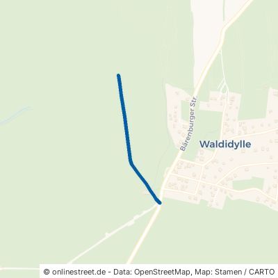 Pfützenweg Altenberg Waldidylle 