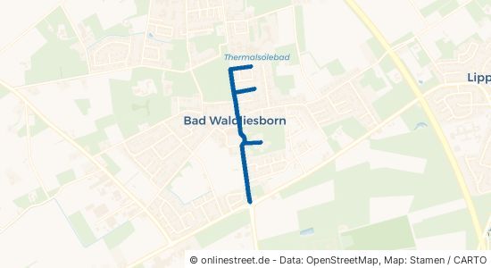 Quellenstraße Lippstadt Bad Waldliesborn 
