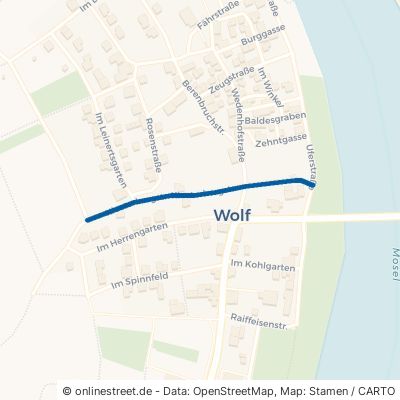 Klosterbergstraße Traben-Trarbach Wolf 