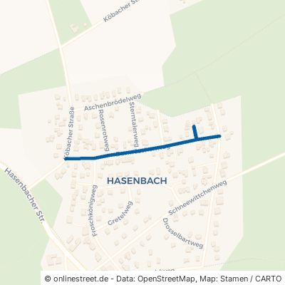 Dornröschenweg Neunkirchen-Seelscheid Hasenbach 