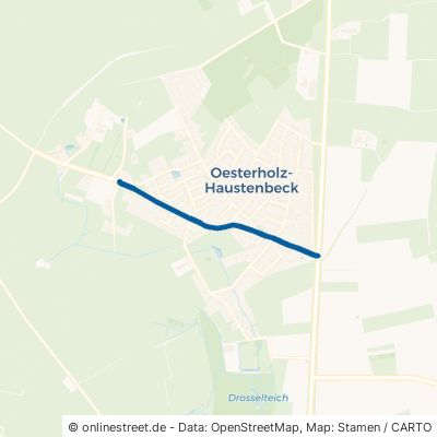 Haustenbecker Straße Schlangen Oesterholz-Haustenbeck 