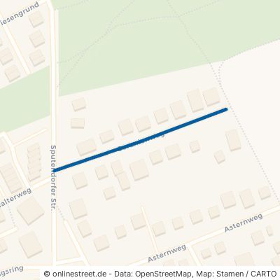 Geranienweg Stahnsdorf 