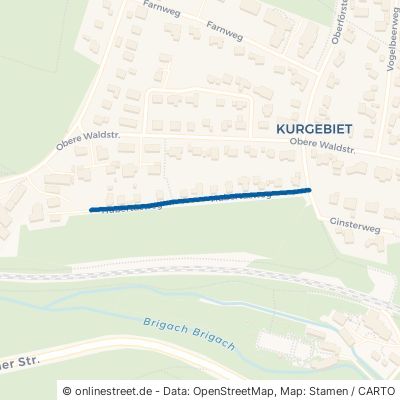 Hubertusweg Villingen-Schwenningen Villingen 