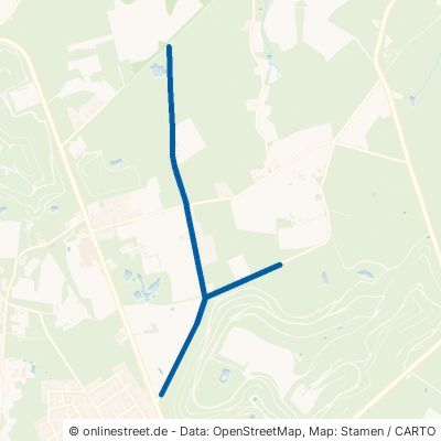 Forstweg Ibbenbüren Dickenberg 