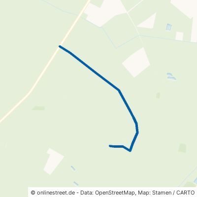 Kleiner Moorweg Bergen Waldhof 