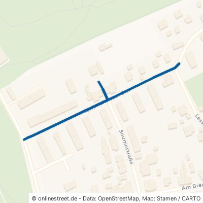Tummelwitzer Straße Borna 