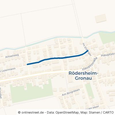 Willeburgstraße Rödersheim-Gronau Gronau 