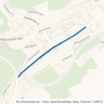 Coburger Straße 98743 Gräfenthal 