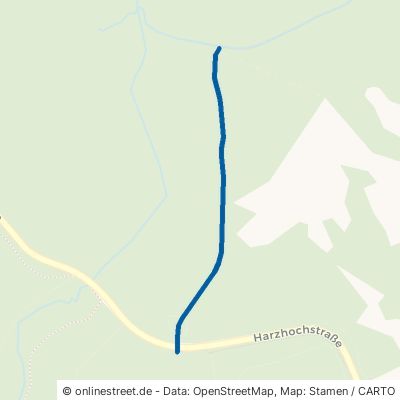 Heidelbeerschneise Harz Lauterberg 