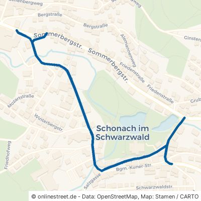 Hauptstraße 78136 Schonach im Schwarzwald 