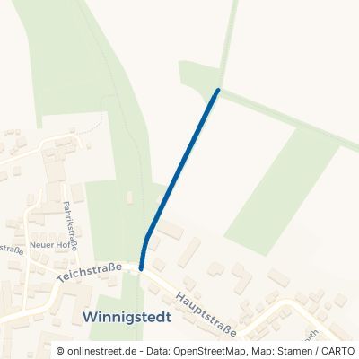 Dorgenstedter Weg Winnigstedt 