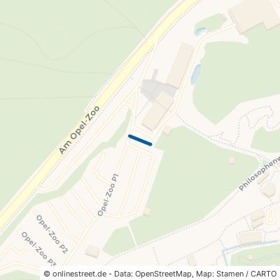 Opelzoo Behindertenplätze Kronberg im Taunus Falkenstein 