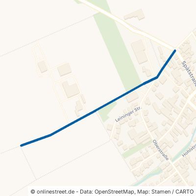 Deidesheimer Weg 67126 Hochdorf-Assenheim Assenheim 