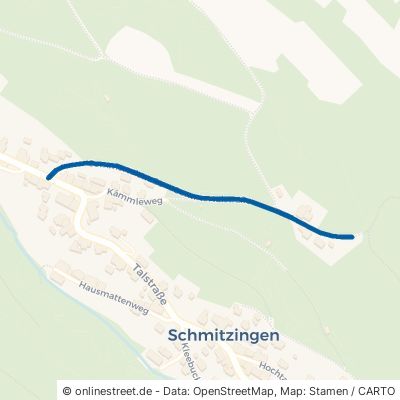 Sommertalstraße 79761 Waldshut-Tiengen Schmitzingen 
