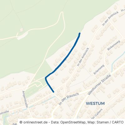 Falkenweg 53489 Sinzig Westum 