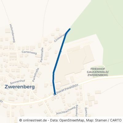 Wacholderweg Neuweiler Zwerenberg 