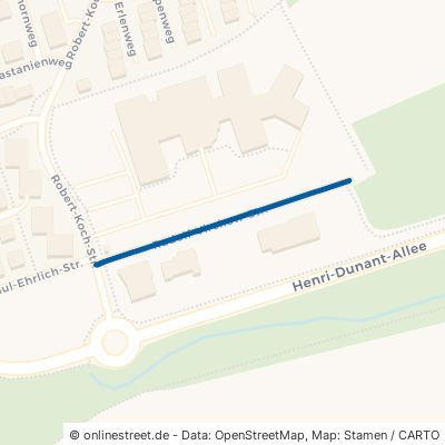 Rudolf-Virchow-Straße Idstein 