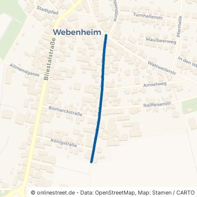 Straße Des 13. Januar Blieskastel Webenheim 