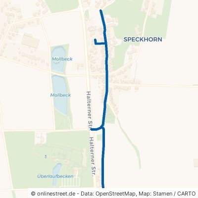 Flutstraße Recklinghausen Speckhorn 