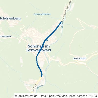Friedrichstraße Schönau im Schwarzwald 