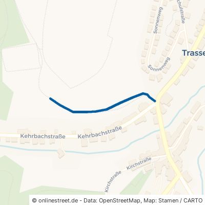 Hild 54441 Trassem Perdenbach 
