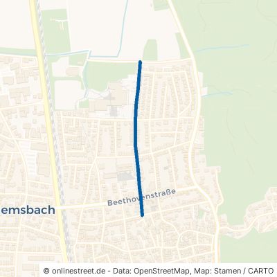 Friedrich-Ebert-Straße Hemsbach 