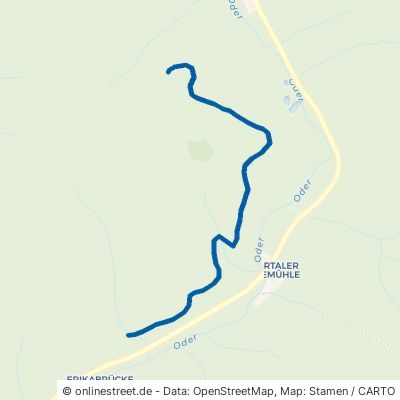 Unterer Schweinetalweg Harz Lauterberg 