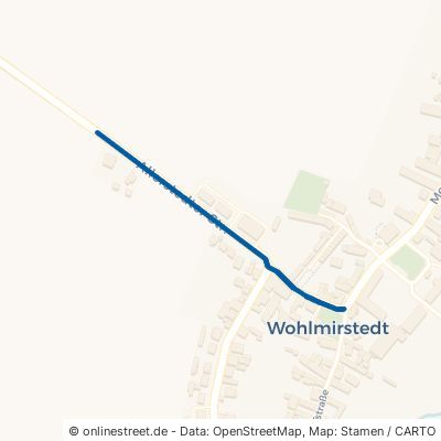 Allerstedter Straße 06642 Kaiserpfalz Wohlmirstedt 