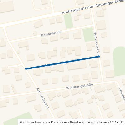 Albertus-Magnus-Straße Ammerthal 